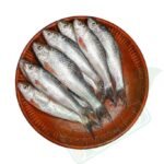 BATA FISH 500G BLOCK