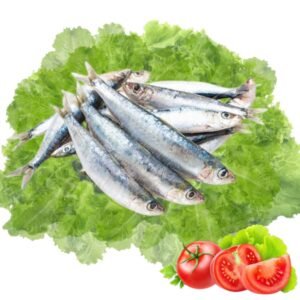 CHAPILA FISH 500G BLOCK